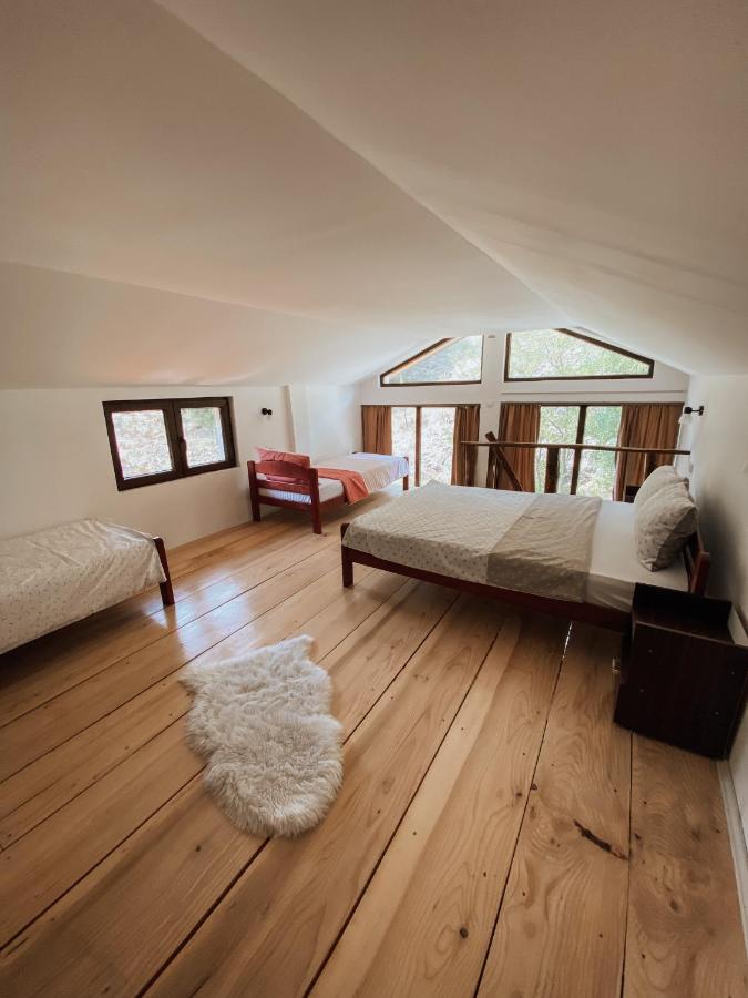 Zicka Plaza Apartment