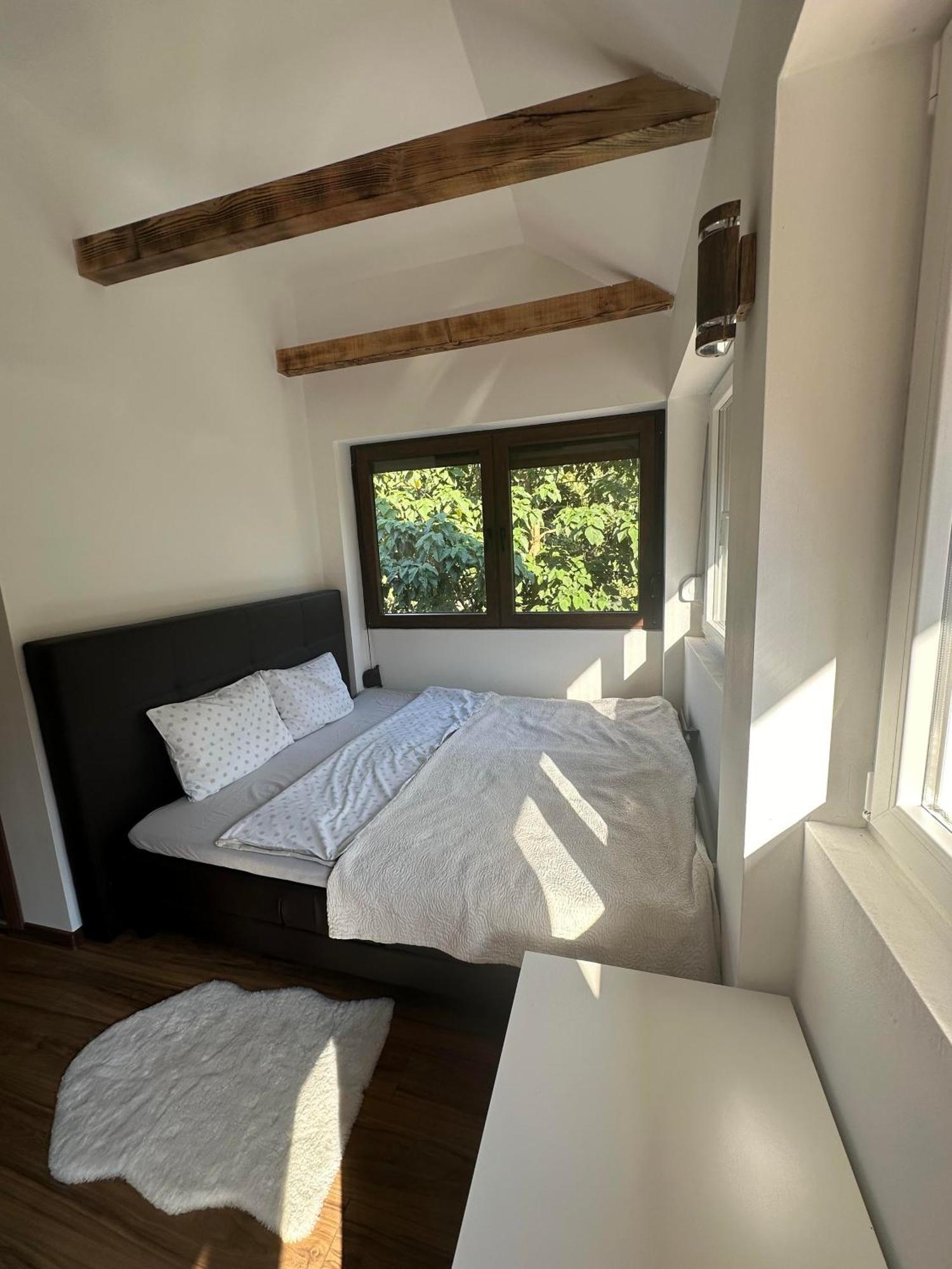 Apartment Zicka Plaza *